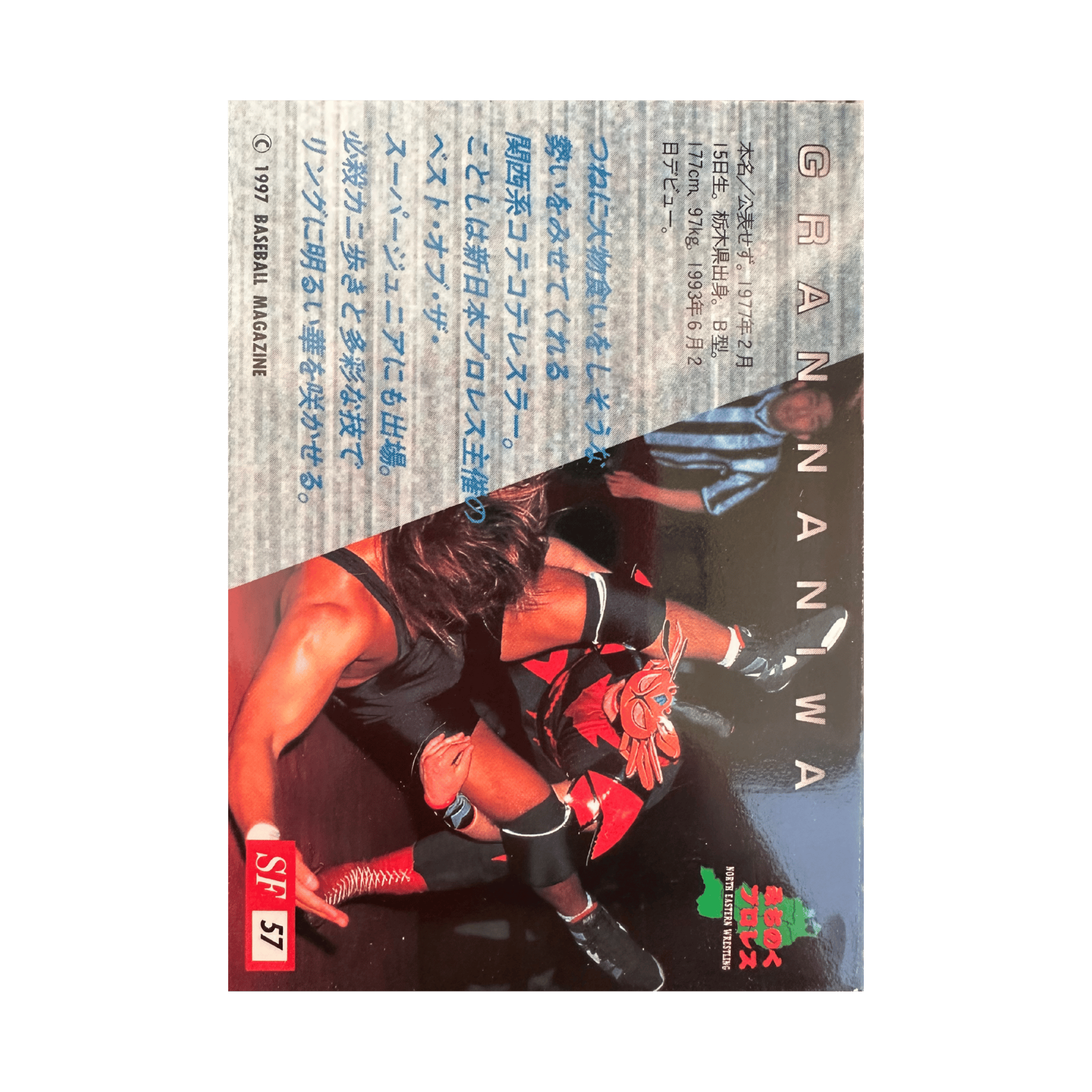 1997 BBM Pro Wrestling Sparkling Fighters #57 Sports Card